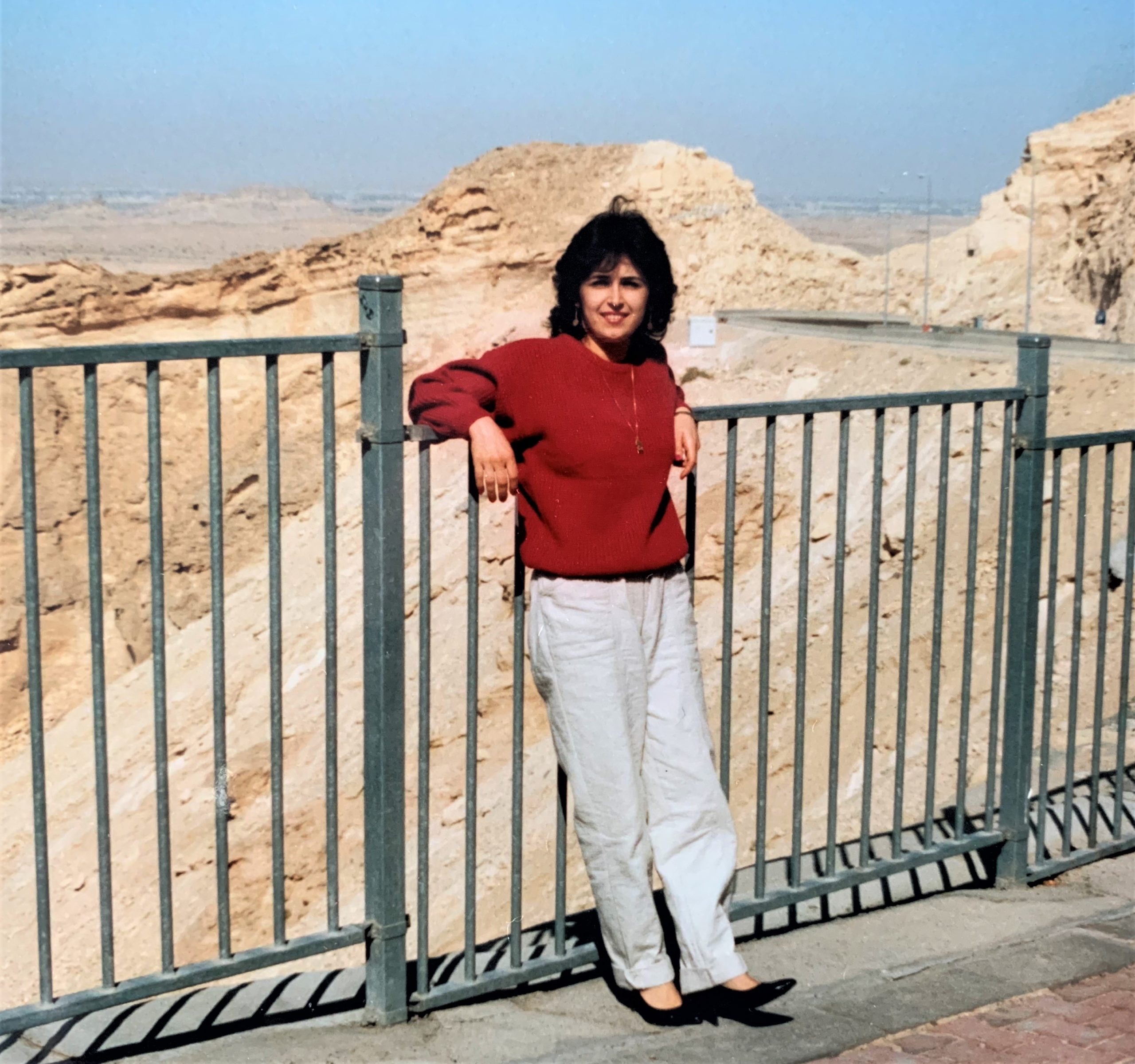 نشأت صفاء حكيم في الكويت.